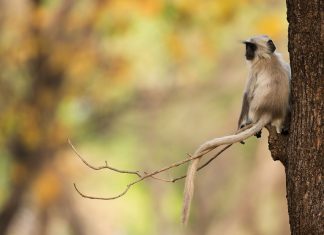 The Mystical Triangle- Maheshwar, Mandu & Omkareshwar