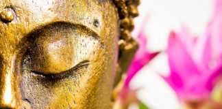 Buddhism: A Refreshing Perspective Albeit Twenty-Five Centuries Old